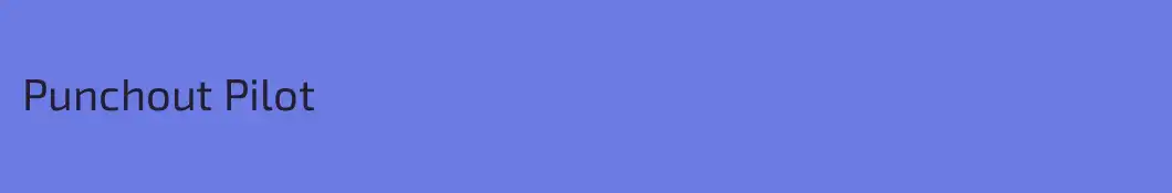 Punchout Pilot
